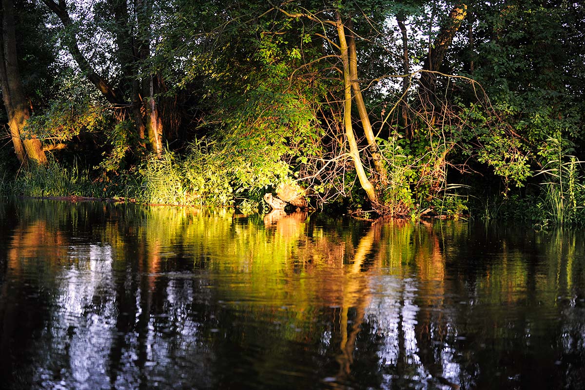 Hotel U George'a - Pokój 10