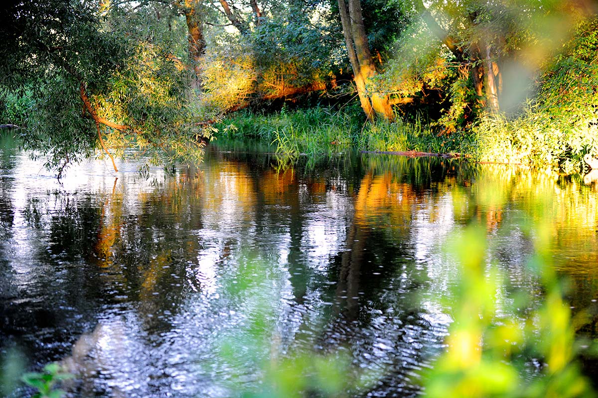 Hotel U George'a - Pokój 9